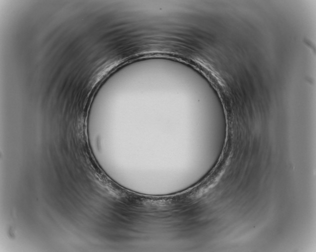 X0000096961121200802080853