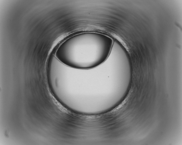 X0000096961122200802080854