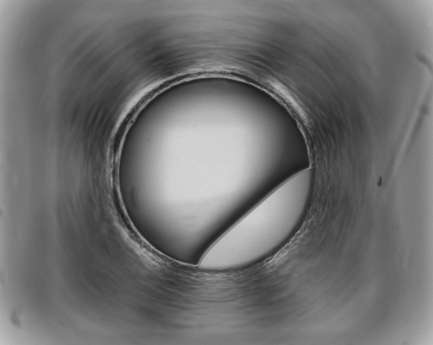 X0000096961124200802080854
