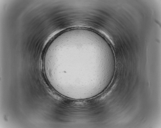 X0000096961125200802080854