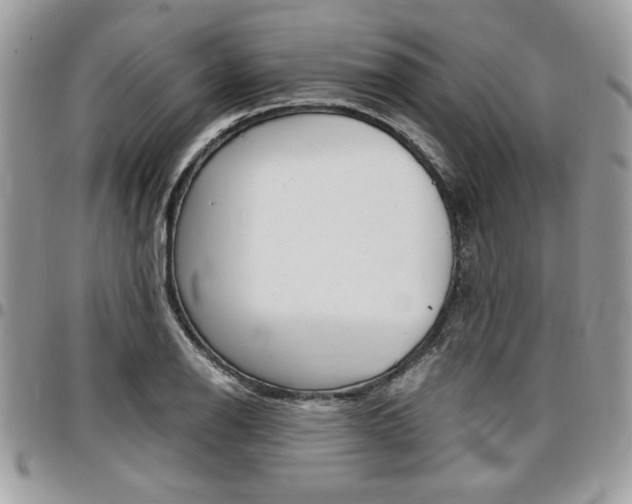 X0000096961126200802080854