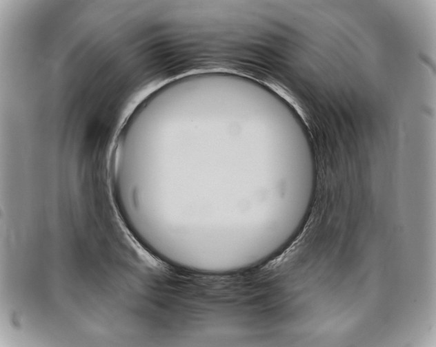 X0000096961127200802080854