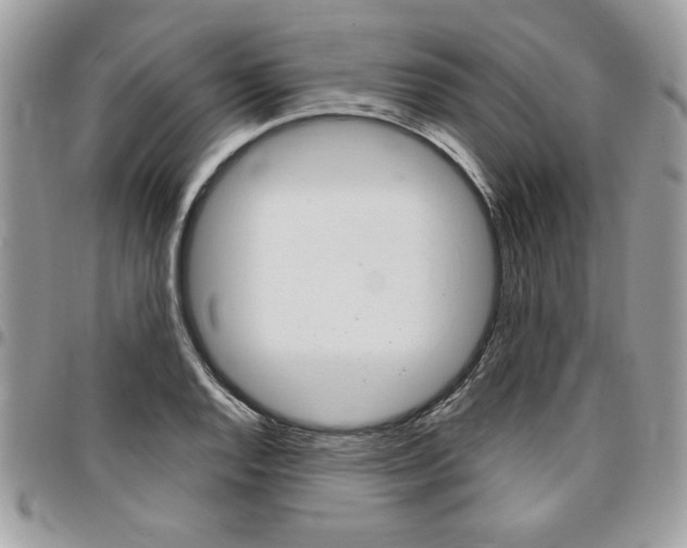 X0000096961128200802080854