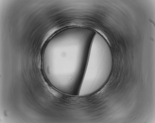 X0000096961131200802080854