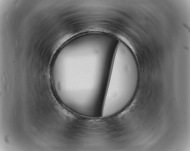 X0000096961133200802080854