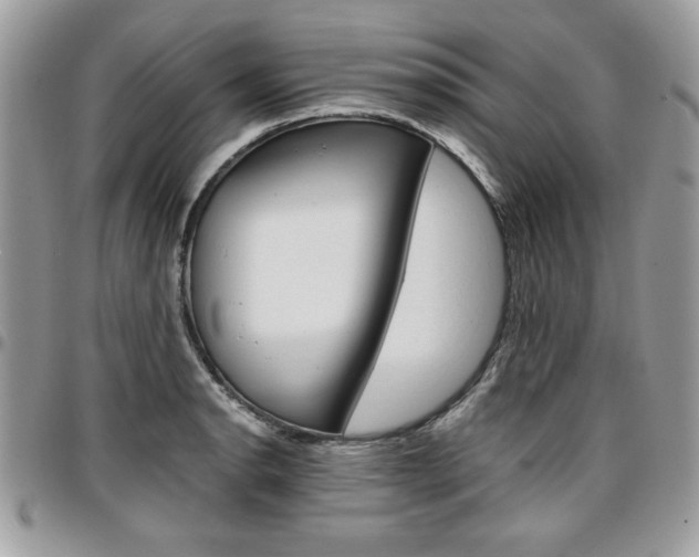 X0000096961134200802080854