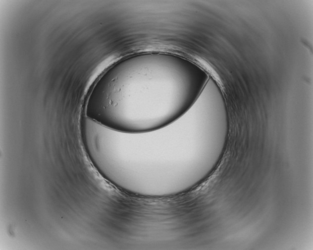 X0000096961138200802080854
