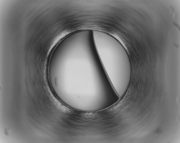 X0000096961139200802080854