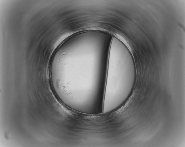 X0000096961141200802080854