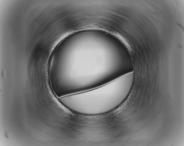 X0000096961142200802080854