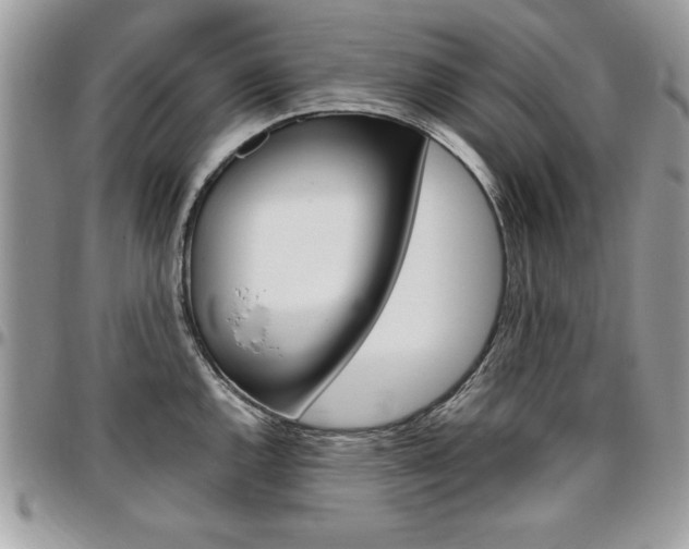 X0000096961144200802080854
