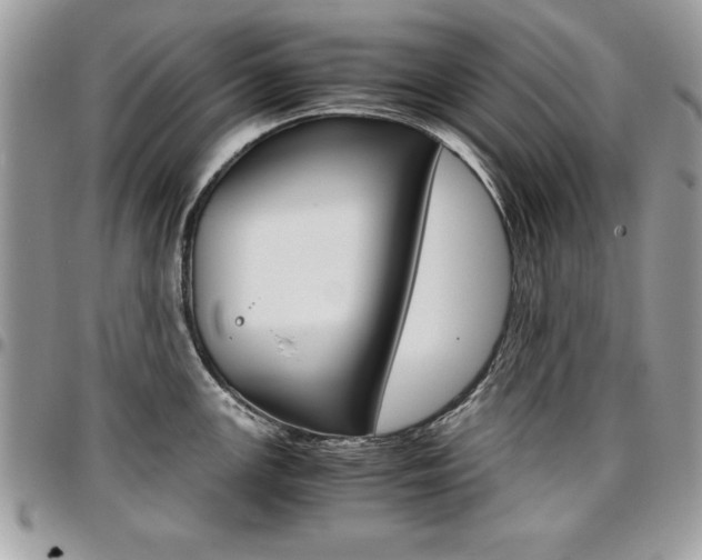 X0000096961147200802080854