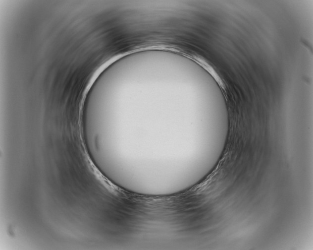 X0000096961148200802080854
