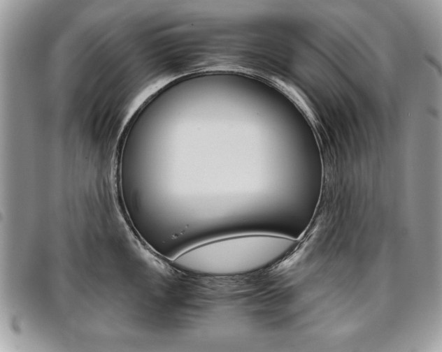 X0000096961149200802080854
