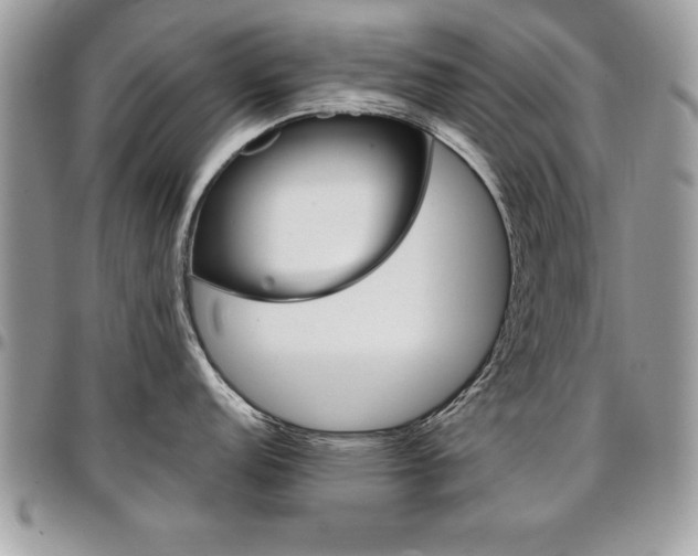 X0000096961152200802080854