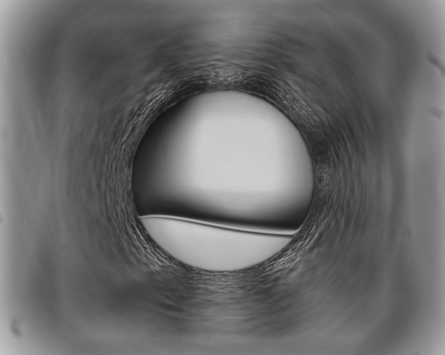 X0000096961153200802080853