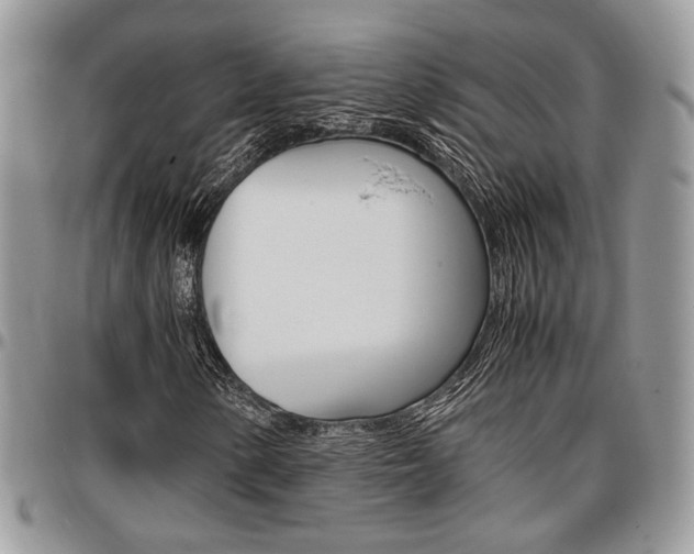 X0000096961154200802080853