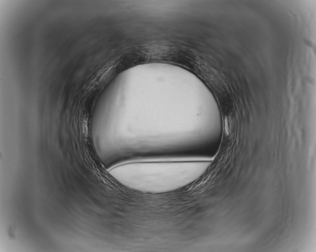 X0000096961155200802080853
