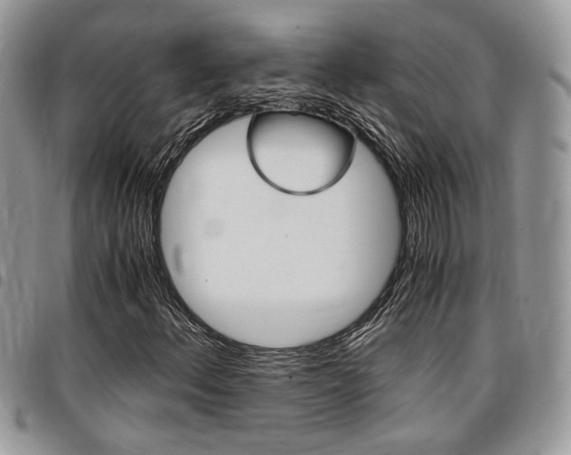 X0000096961156200802080853