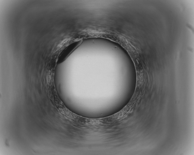 X0000096961157200802080853