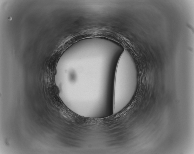 X0000096961158200802080853