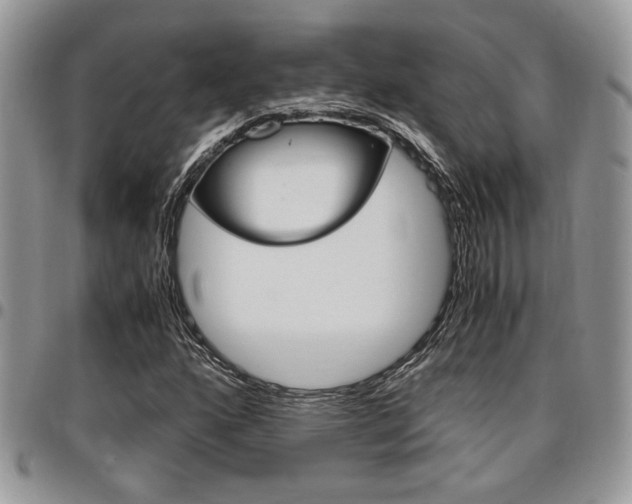 X0000096961160200802080853