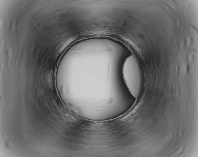 X0000096961162200802080853