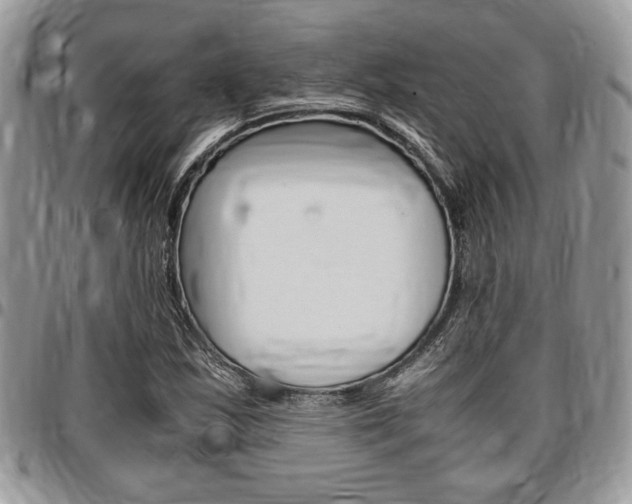 X0000096961163200802080853