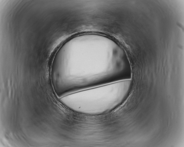 X0000096961167200802080853