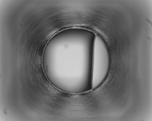 X0000096961169200802080853