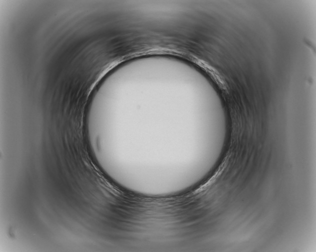 X0000096961170200802080853