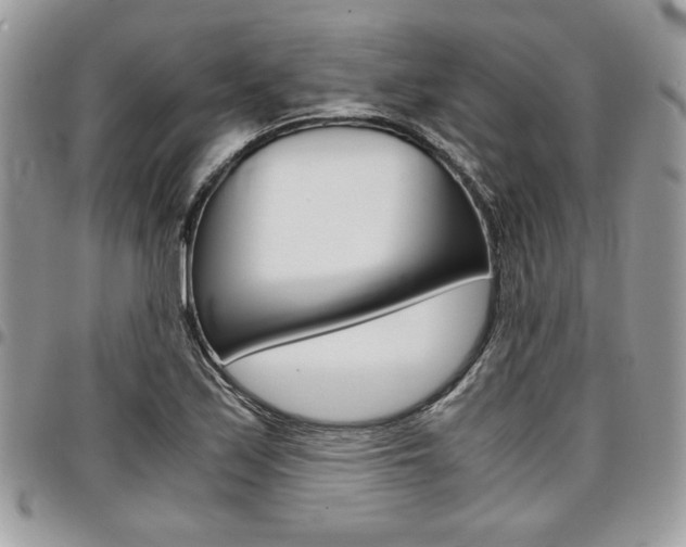 X0000096961171200802080853