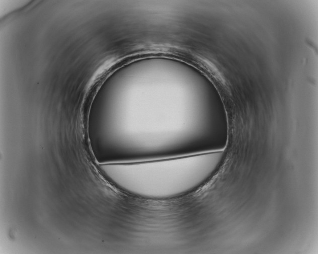 X0000096961172200802080853