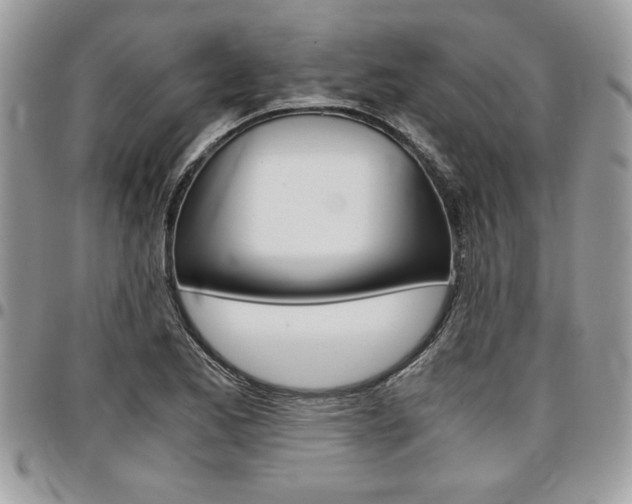 X0000096961173200802080853