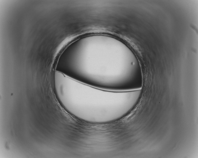 X0000096961175200802080853