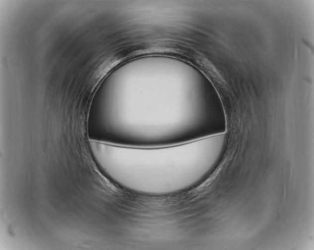 X0000096961177200802080853