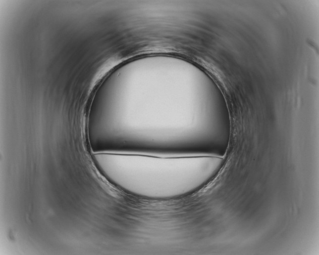 X0000096961179200802080853