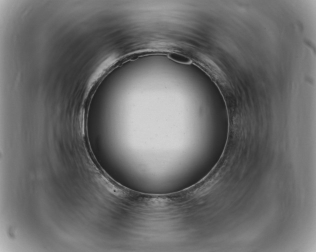 X0000096961180200802080853