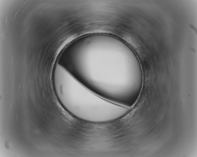 X0000096961181200802080853