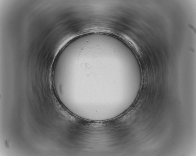 X0000096961182200802080853