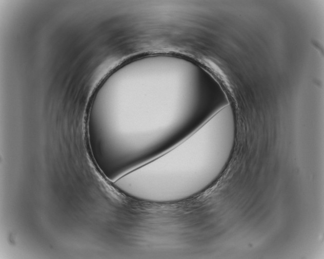 X0000096961183200802080853
