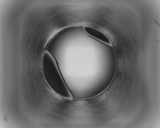 X0000096961184200802080853