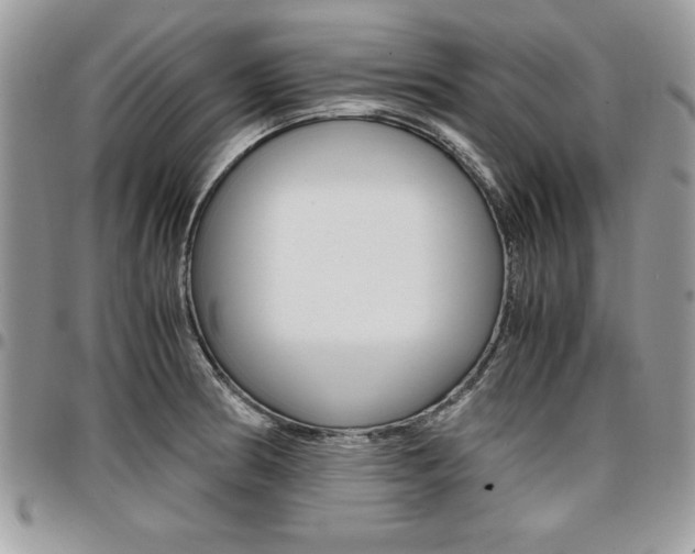 X0000096961186200802080853