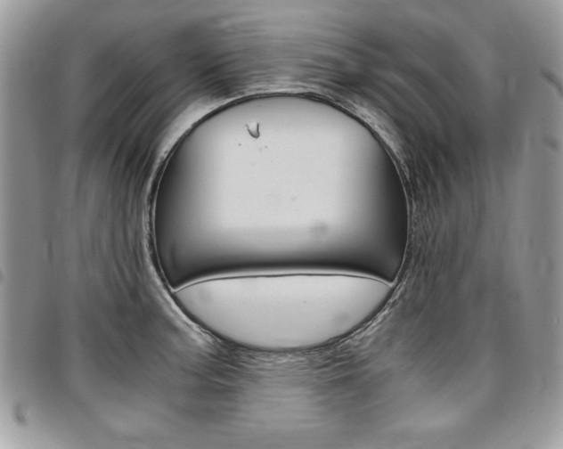 X0000096961187200802080853