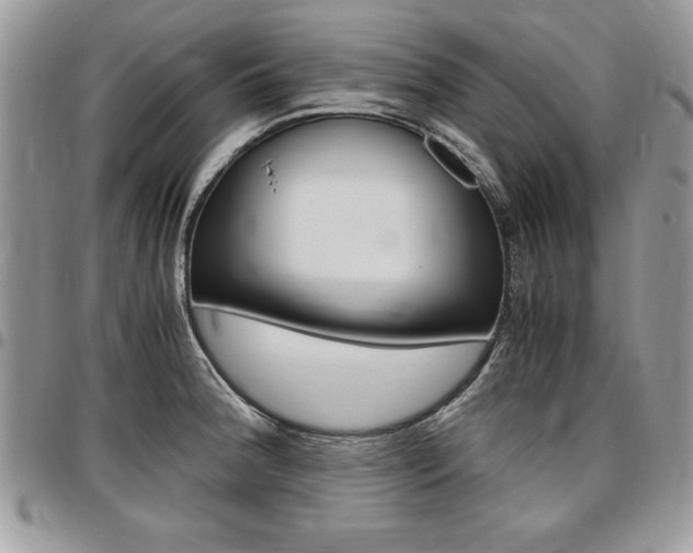 X0000096961188200802080853