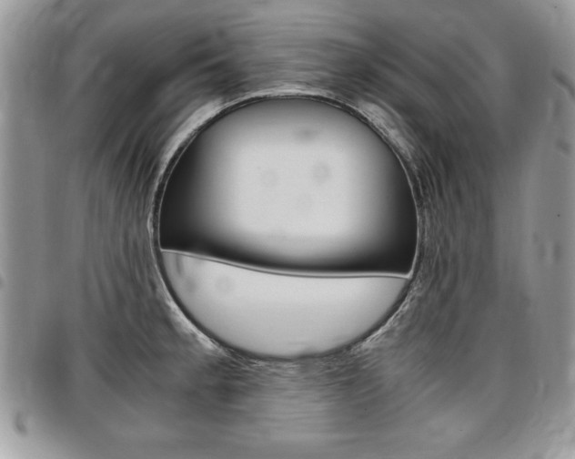 X0000096961189200802080853