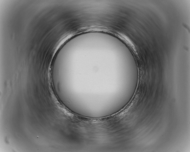 X0000096961190200802080853