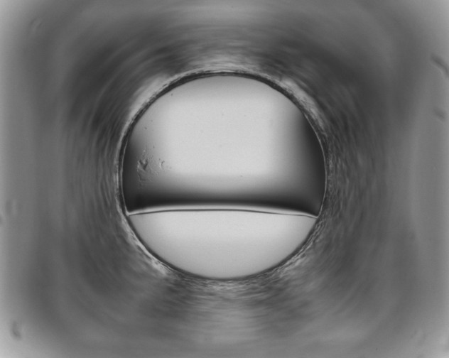 X0000096961191200802080853