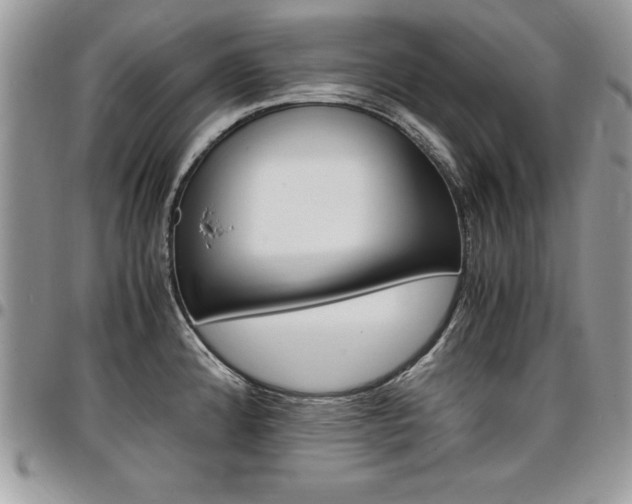 X0000096961192200802080853