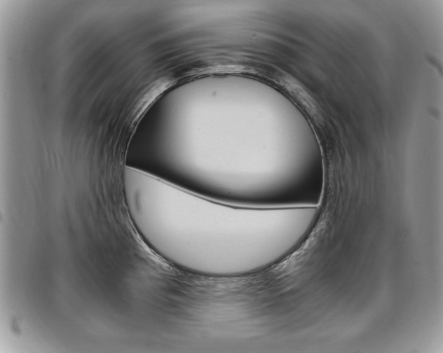 X0000096961193200802080853